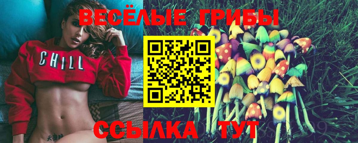 Псилоцибиновые грибы прущие грибы  Вход с VPN  Звенигород 