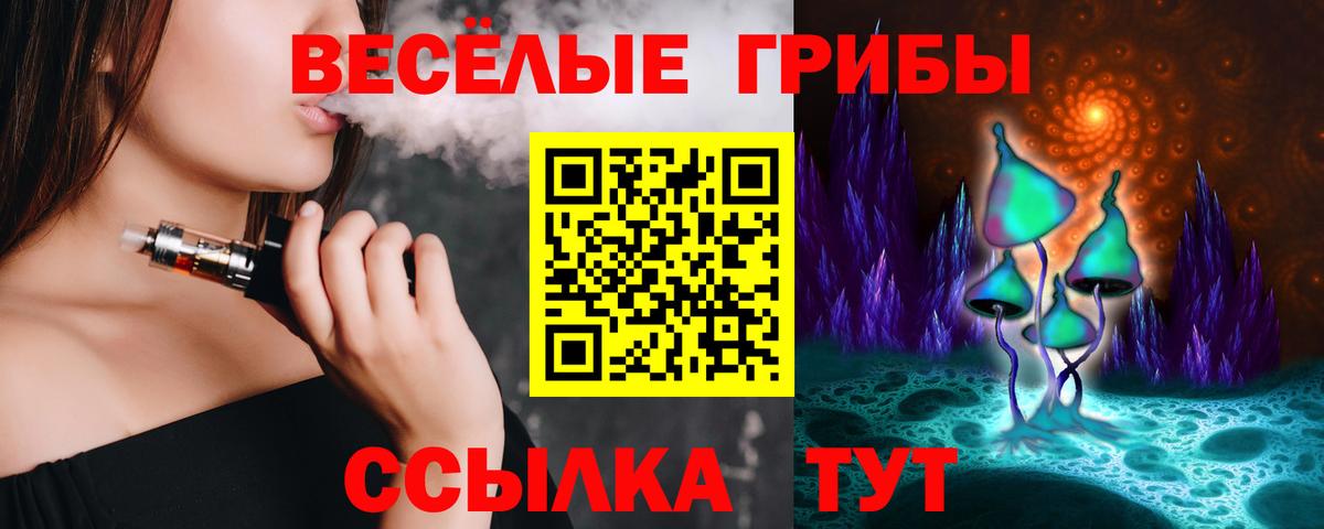 Псилоцибиновые грибы GOLDEN TEACHER Звенигород